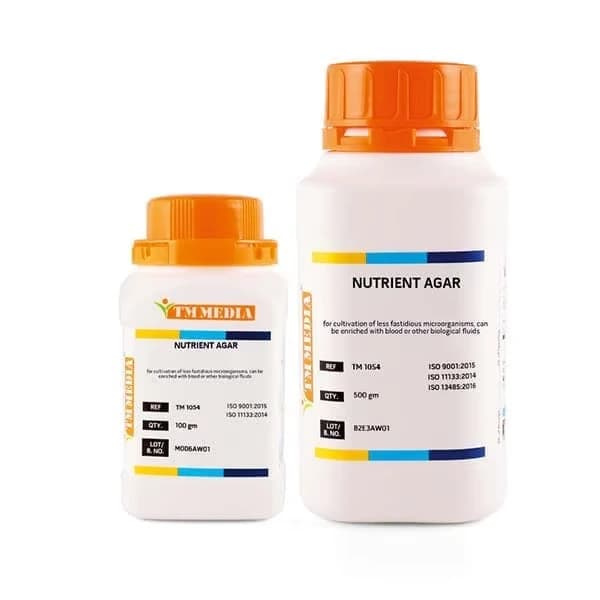 Gélose nutritive